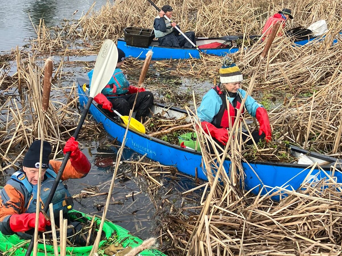 Volunteer day clearing floating pennywort
